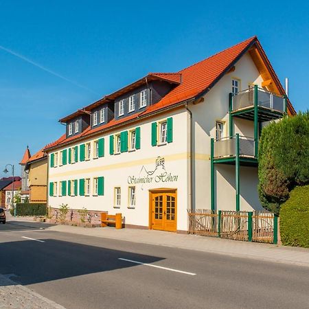 Staimicher Hoehen - Premium Appartements Kurort Steinbach-Hallenberg Zewnętrze zdjęcie